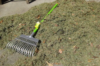 How to Make Hay for Pets at Home