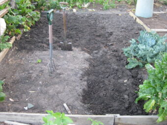 Community Garden Plot
