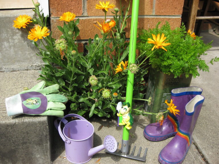 Gardening With Kids: Importance Of Gardening In Early Childhood