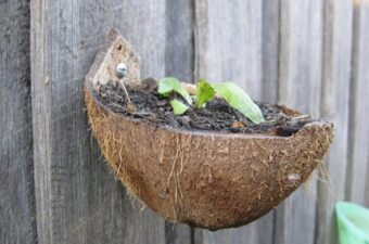 A Simple Guide to Zero Waste Living