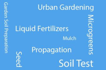 Glossary of Gardening Terms