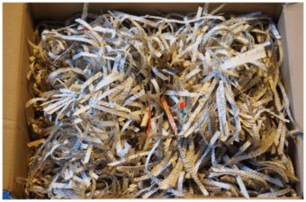 Dried leaves are a great source of carbon for the compost pile.