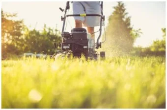 How to Compost Grass Clippings