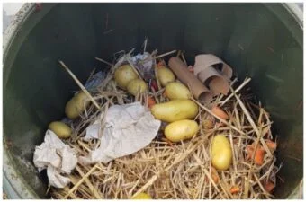 Composting Starters Demystified