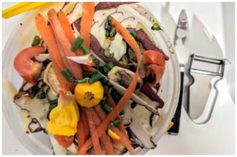 How to make compost at home with kitchen waste