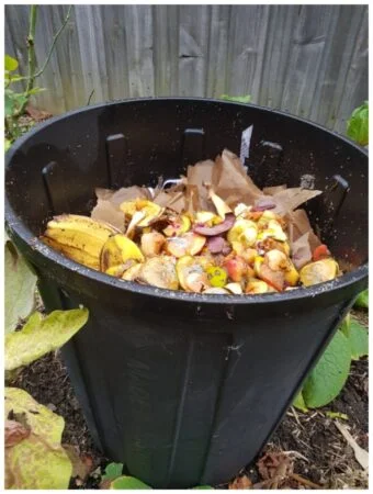 How to Stop Fruit Flies in Compost Bin