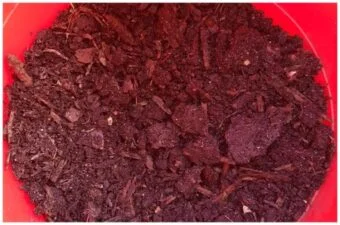 composting for beginners